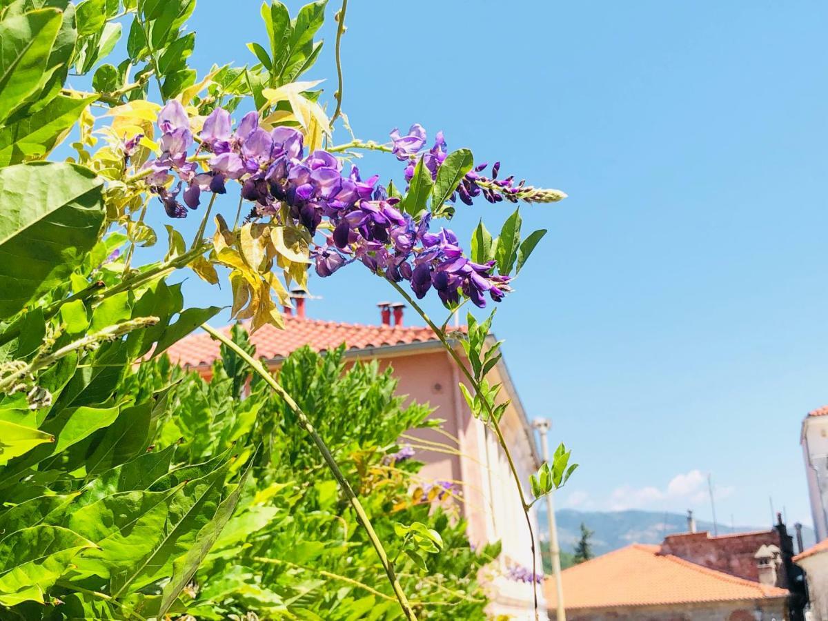 Guesthouse Old Town Ξάνθη Εξωτερικό φωτογραφία